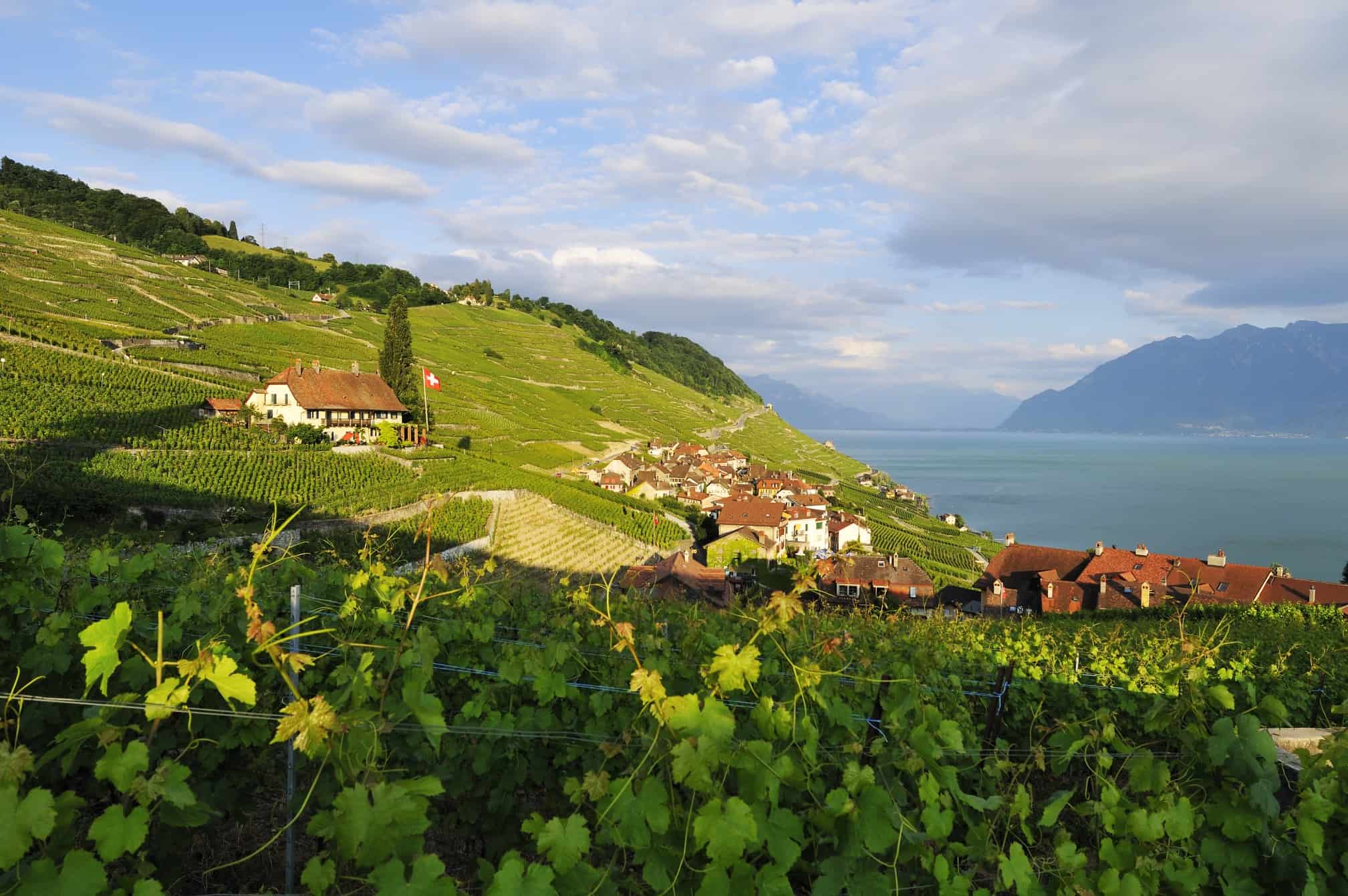 IGCSE Schools in Switzerland