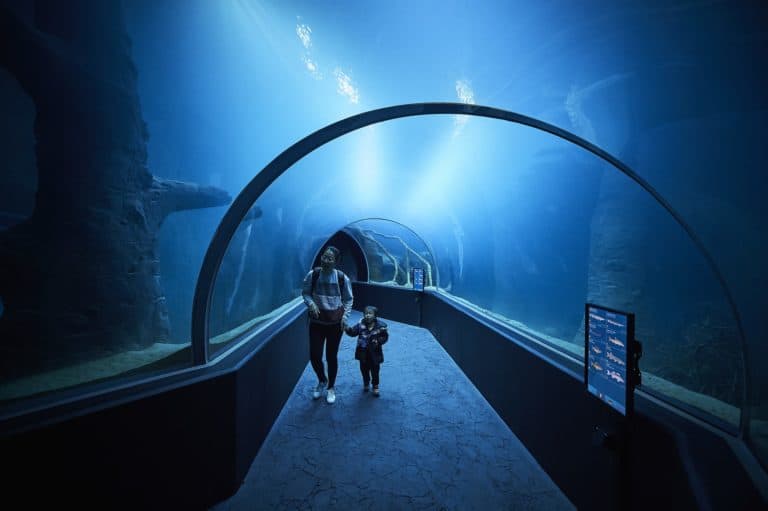 Lausanne Aquarium