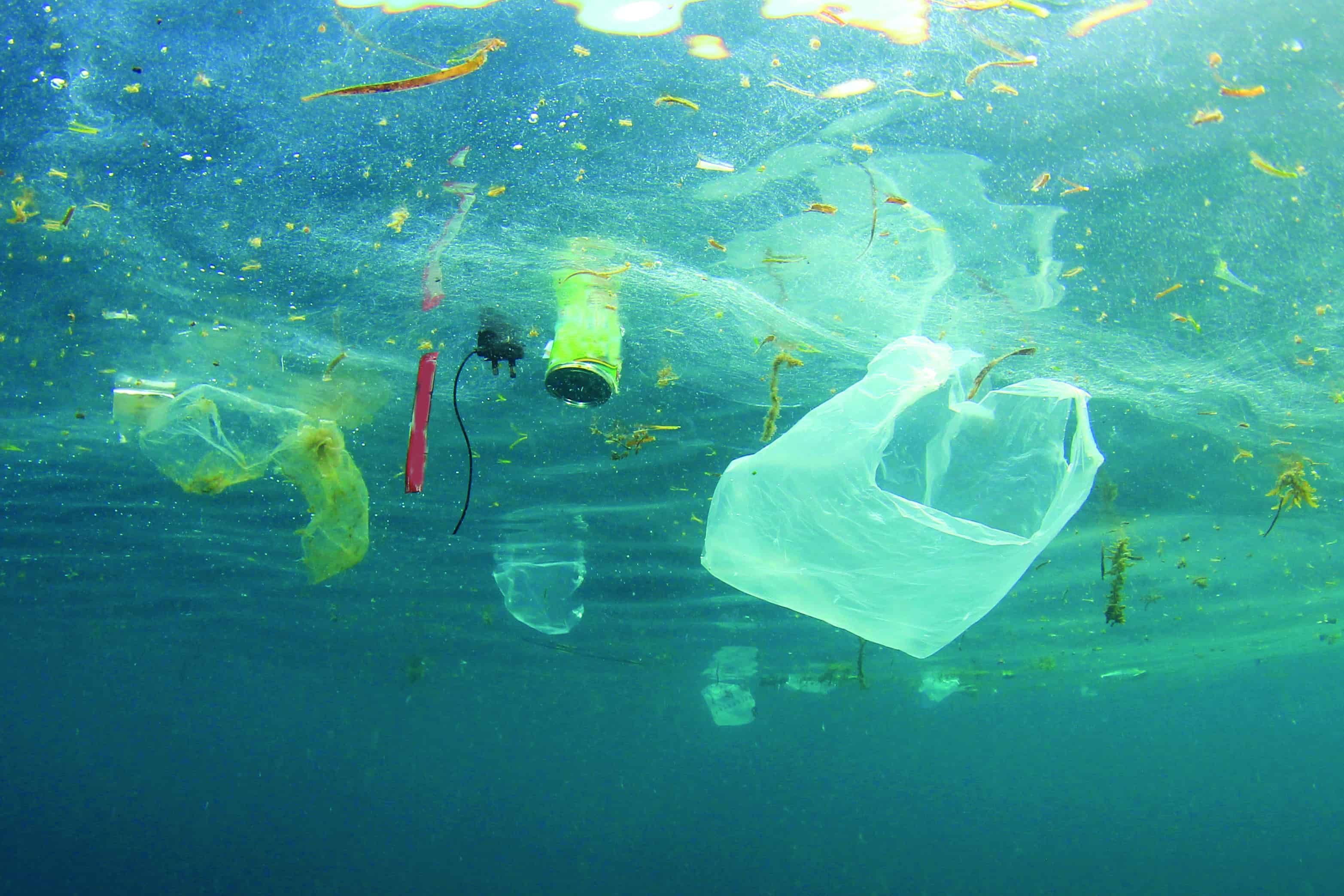 Plastic pollution