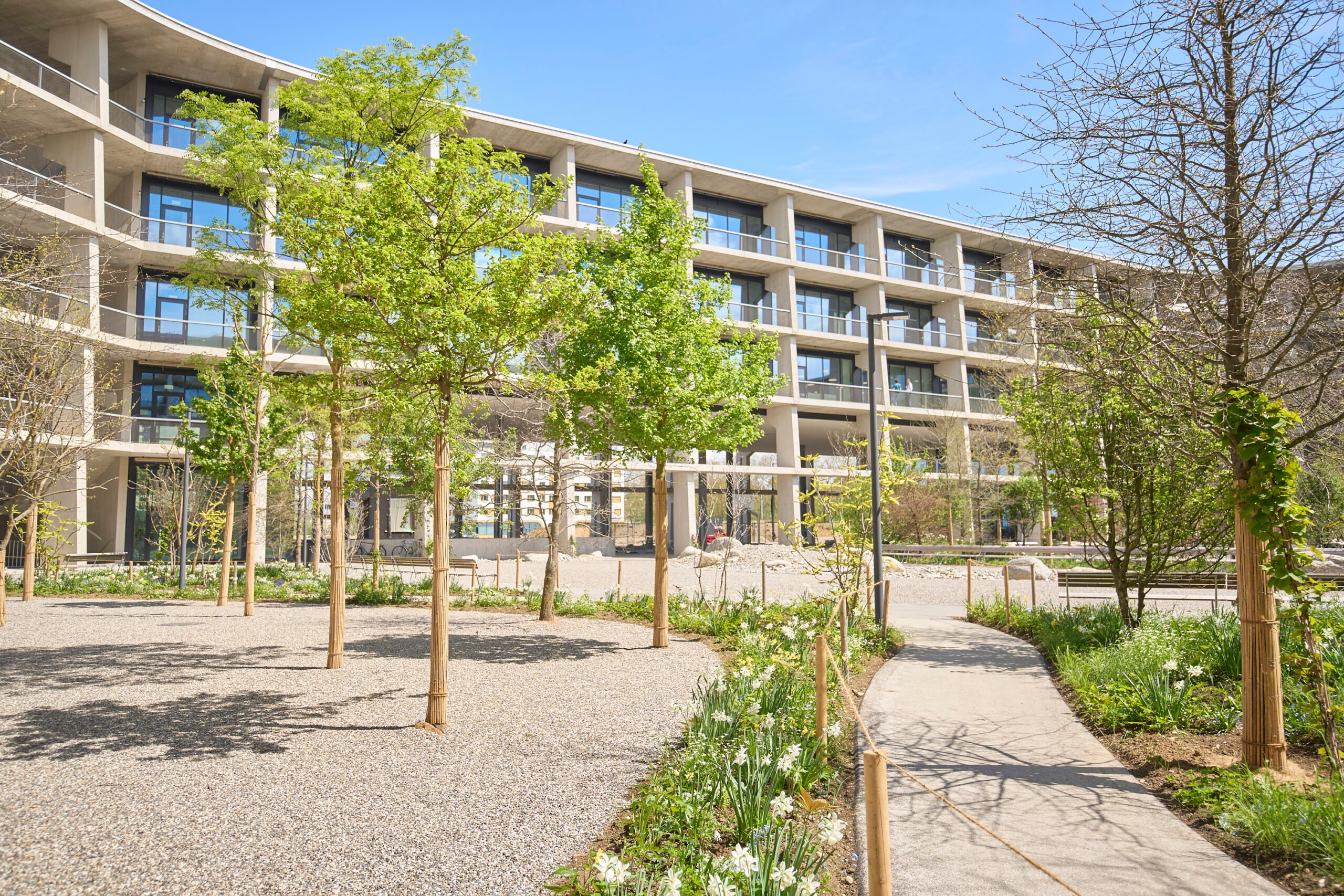 SIS Swiss International School BaselAllschwil